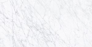 Carrara White Porcelain 12x24 Polished