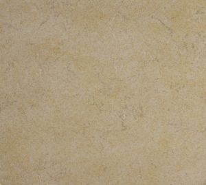 Jerusalem Gold 12X12 Polished