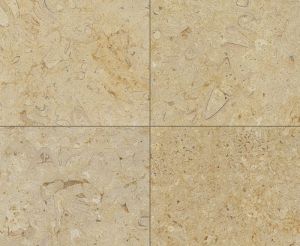 Belgian Truffle (Egypt) 12x24 Honed & Beveled