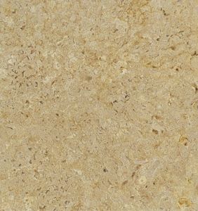 Belgian Truffle (Egypt) 12x24 Honed & Beveled