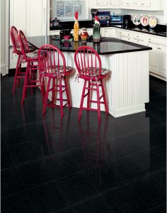 Impala Black 12X12 Polished