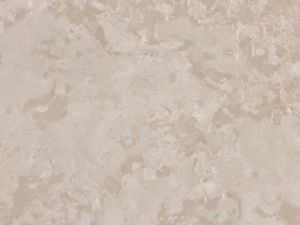 Botticino Fiorito 12X12 Polished