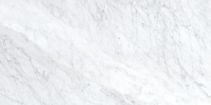 Porcelaino Carrara White 12x24 Polished
