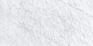 Porcelaino Carrara White 12x24 Glazed Matte