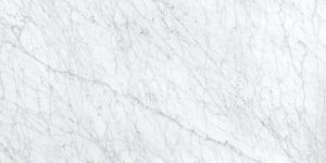 Porcelaino Carrara White 12x24 Glazed Matte