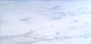 Carrara White 12x24 Polished