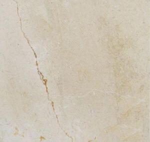 Crema Marfil select 18X18 Honed