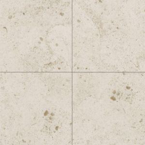 Gascogne Beige 12X12 Honed