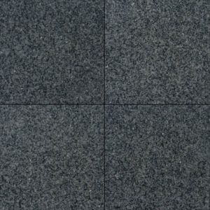 Impala Black 12X12 Polished