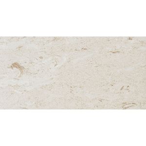 Fossil Limestone 12x24 Floor Tile - HONED