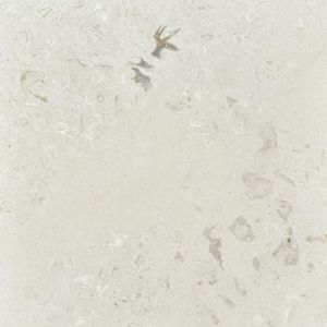 Fossil Limestone 24x24 Tumbled Tile