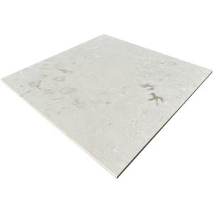 Fossil Limestone 24x24 Tumbled Tile