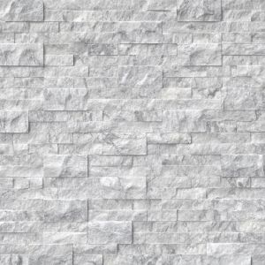 Arabescato Carrara 6x24 Ledger Panel