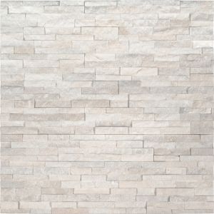 Arctic White
