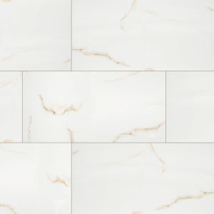 Aria Bianco 12x24 Polished Porcelain