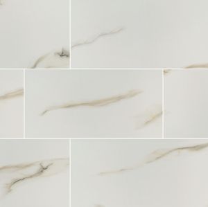 Aria Bianco 12x24 Polished Porcelain
