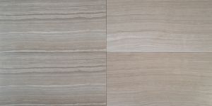 Eramosa Silver 12X24 Matte