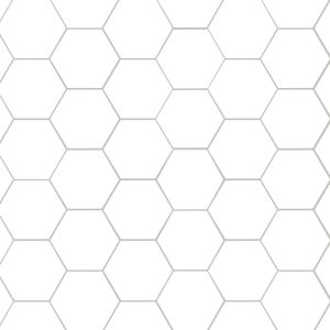 Hexley Ecru 10" Hexagon Porcelain Tile - White