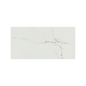 Praia Carrara 12x24 Matte Tile
