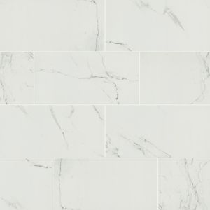 Praia Carrara 12x24 Matte Tile