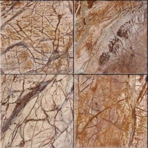 Cafe Forest 12X12 Polished