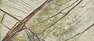 Rain Forest Green 12X12 Antique