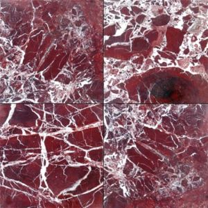 Rosso Levanto 12x12 Polished