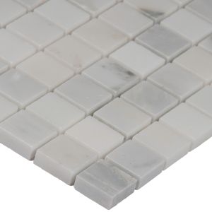 FREE SHIPPING - Arabescato Carrara White 1x1 Honed