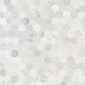 FREE SHIPPING - Arabescato Carrara 2" Hexagon Honed