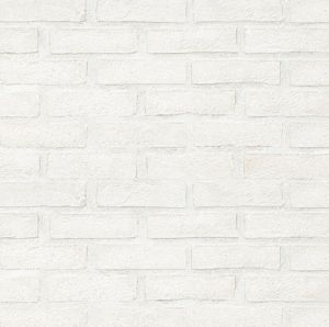 Alpine White Clay 2.25" x 7.50" Brick (Loose)