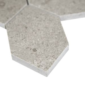 Lilly Pad Hexagon Honed Mosaic