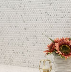 Domino White And Black Penny Round Mosaic