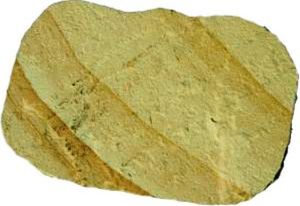 Rustic Canyon Stepping Stone