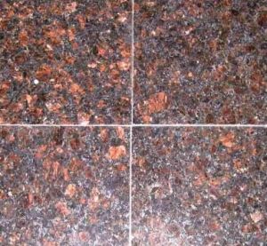Tan Brown 12X12 Polished