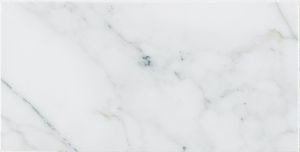 Calacatta Cressa 4x12 Honed Subway Tile