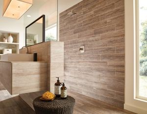 Veneto Noce 12X24 Porcelain
