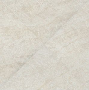 Legions Taja Ivory 24 x48 Matte Porcelain Paver