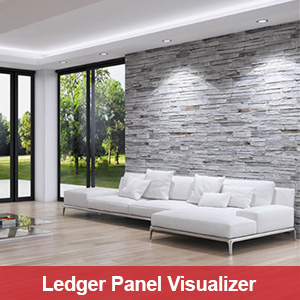 Ledger panel visualizer